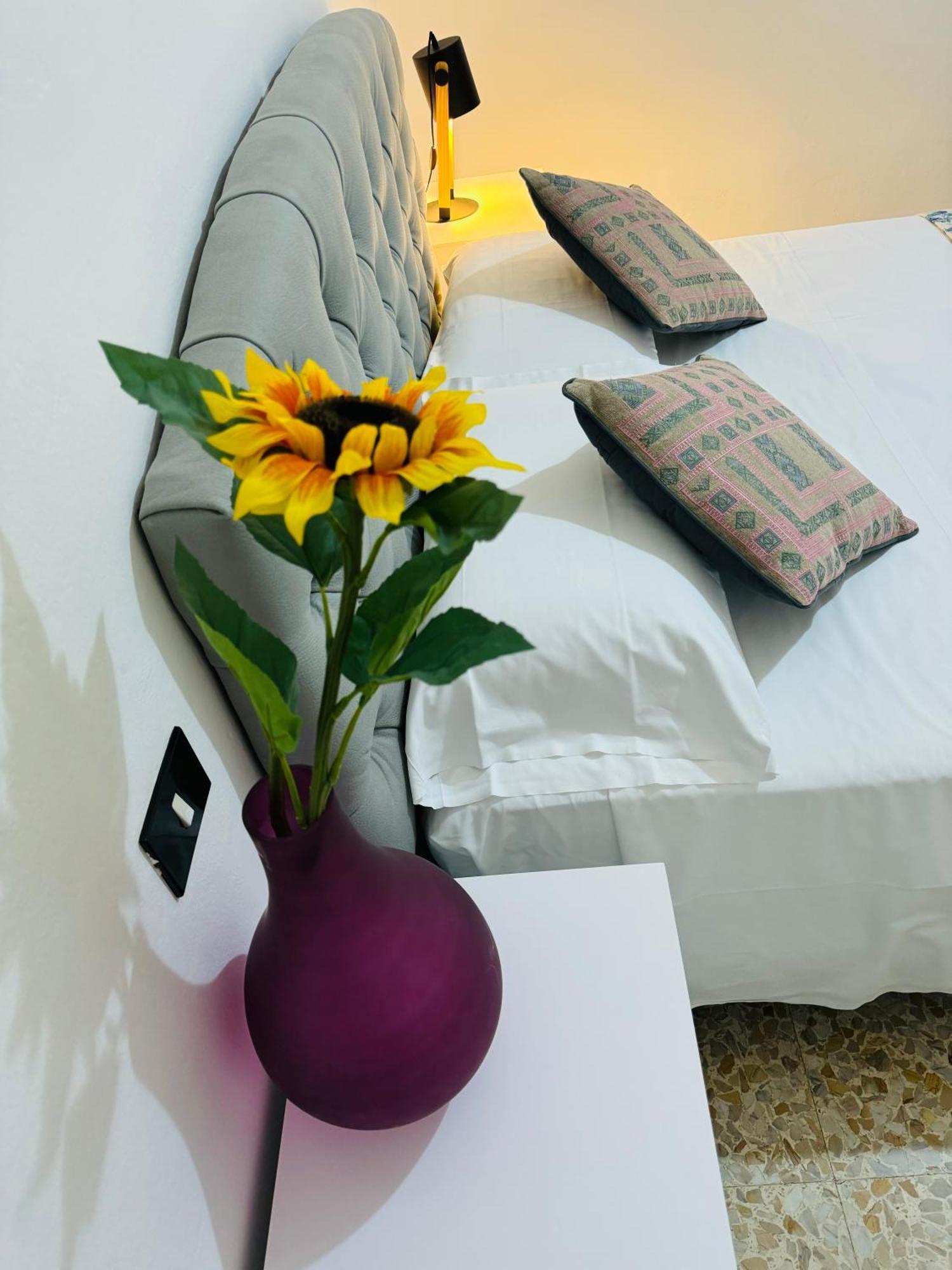 The Galaxy House Hotel Pisa Exterior photo